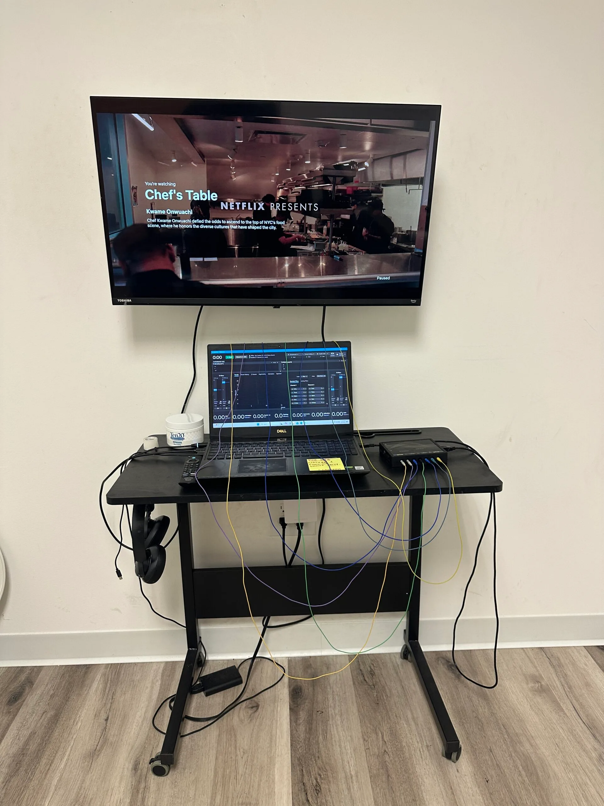Neurofeedback Therapy Tampa Florida