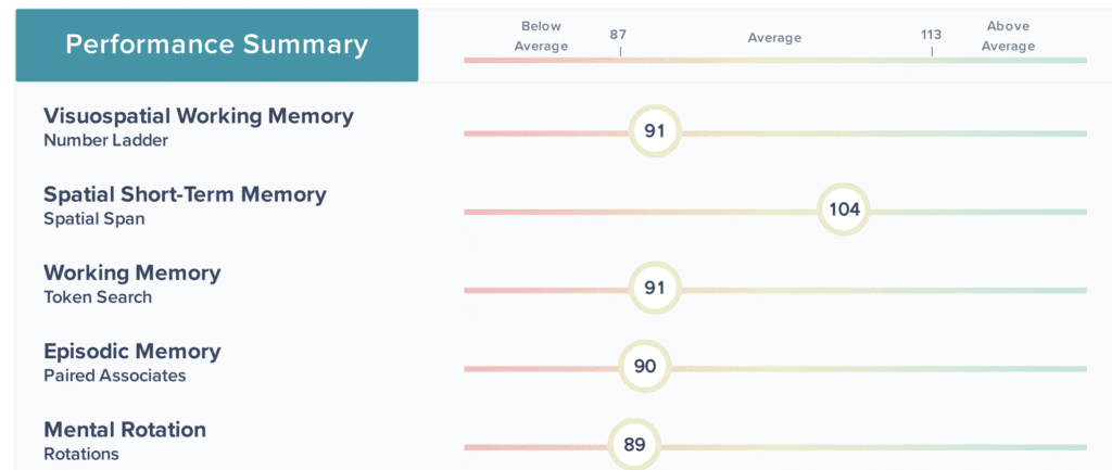 Cognitive Performance Test Tampa