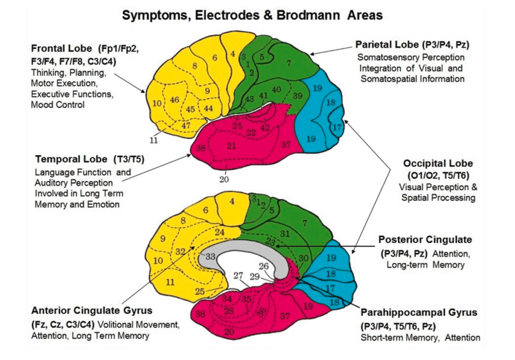 High Beta Activity in the Front of the brain