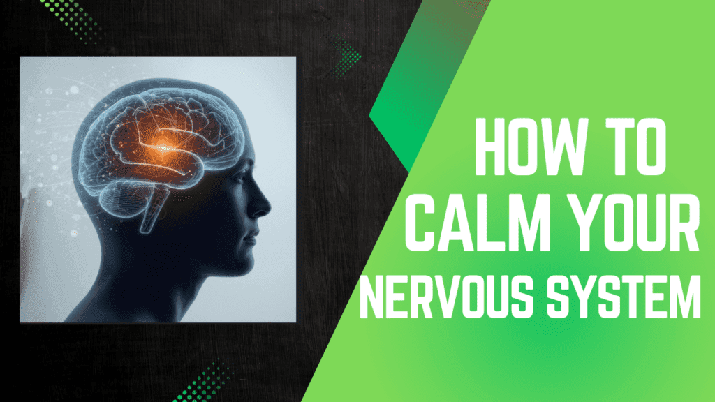 How to Increase Neuroplasticity by Calming the Nervous System Tampa | Genesis Brain Institute