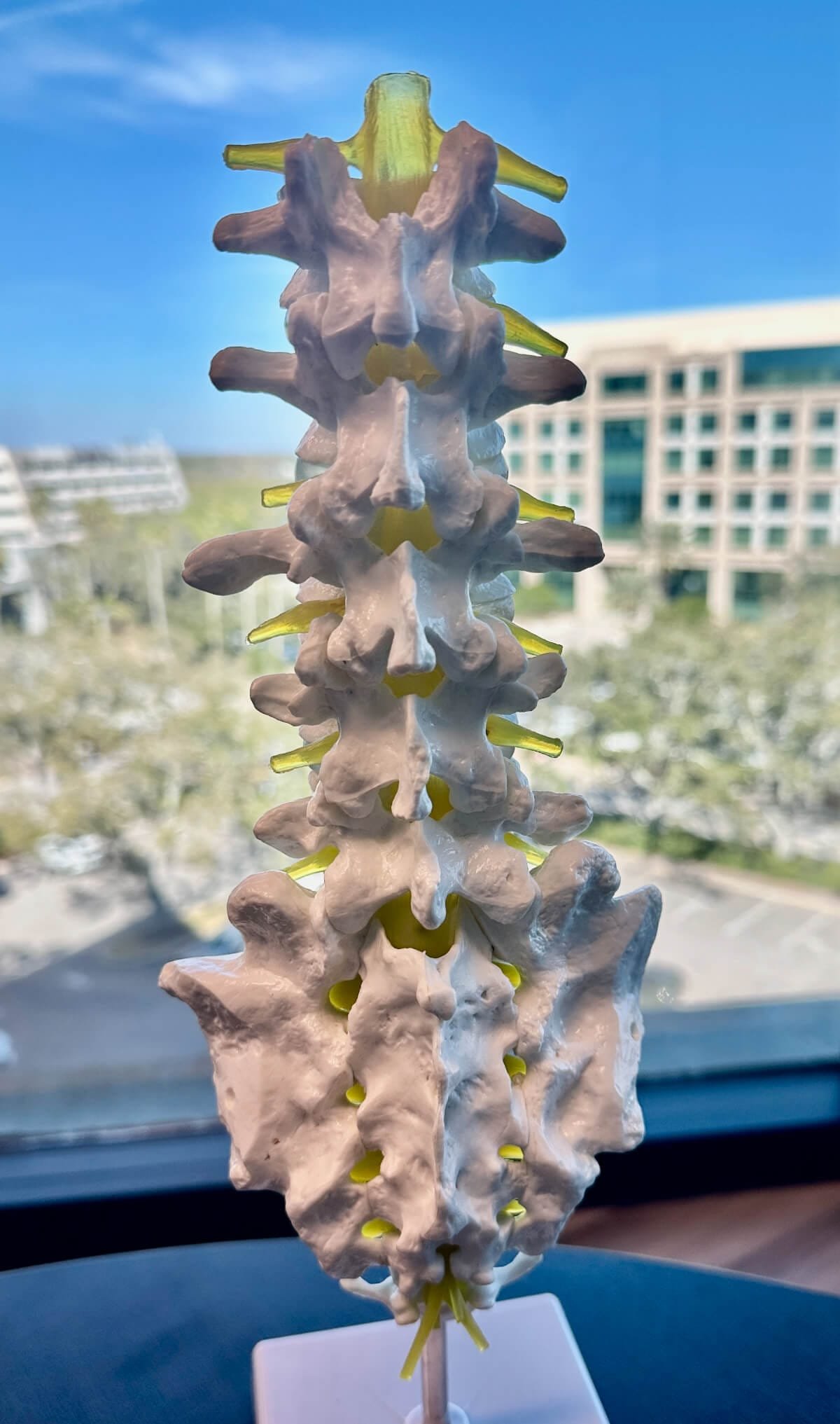 Pain Management Care tampa | Genesis Brain Institute
