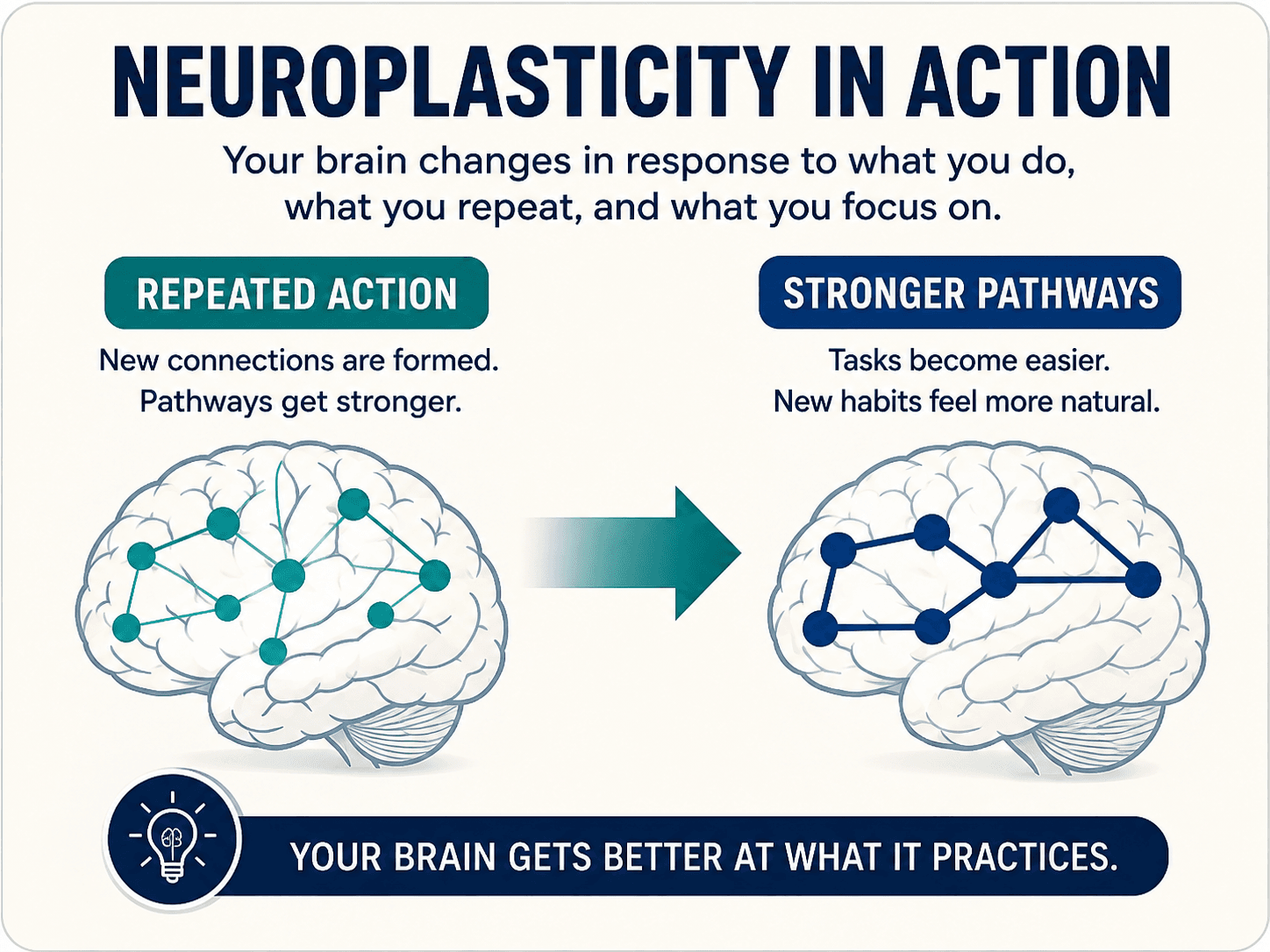How can you rewire your brain through neuroplasticity
